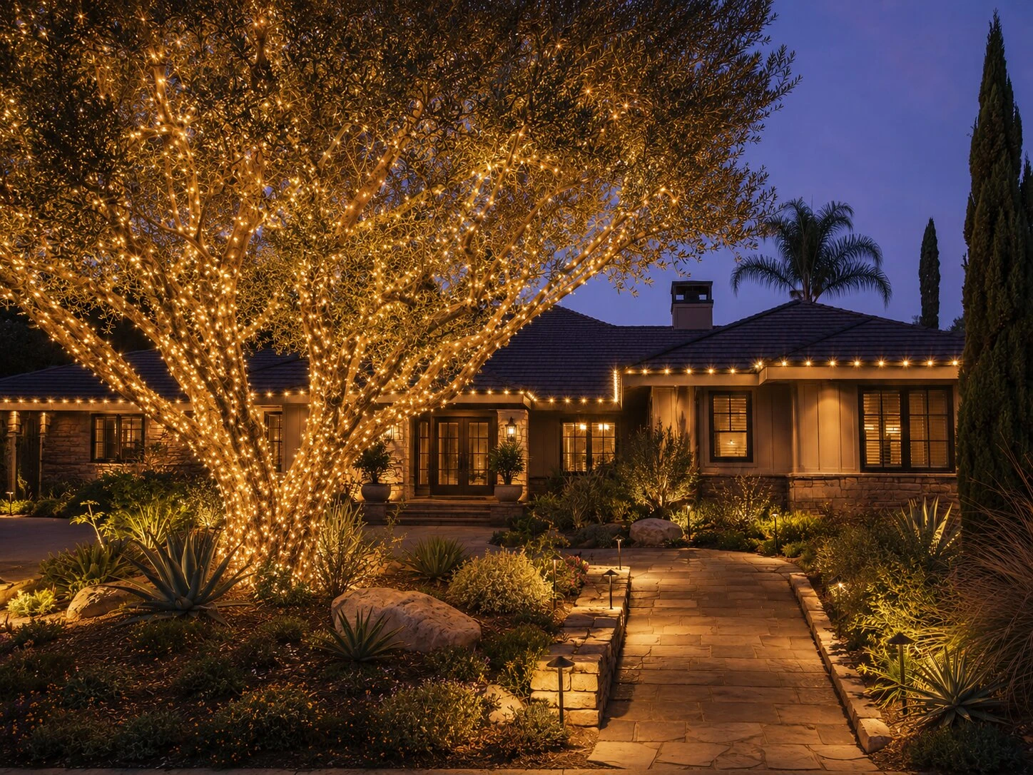 Mature deciduous tree in a residential front yard at dusk, trunk and branches densely wrapped in warm-white Christmas lights from the base up, ranch home behind