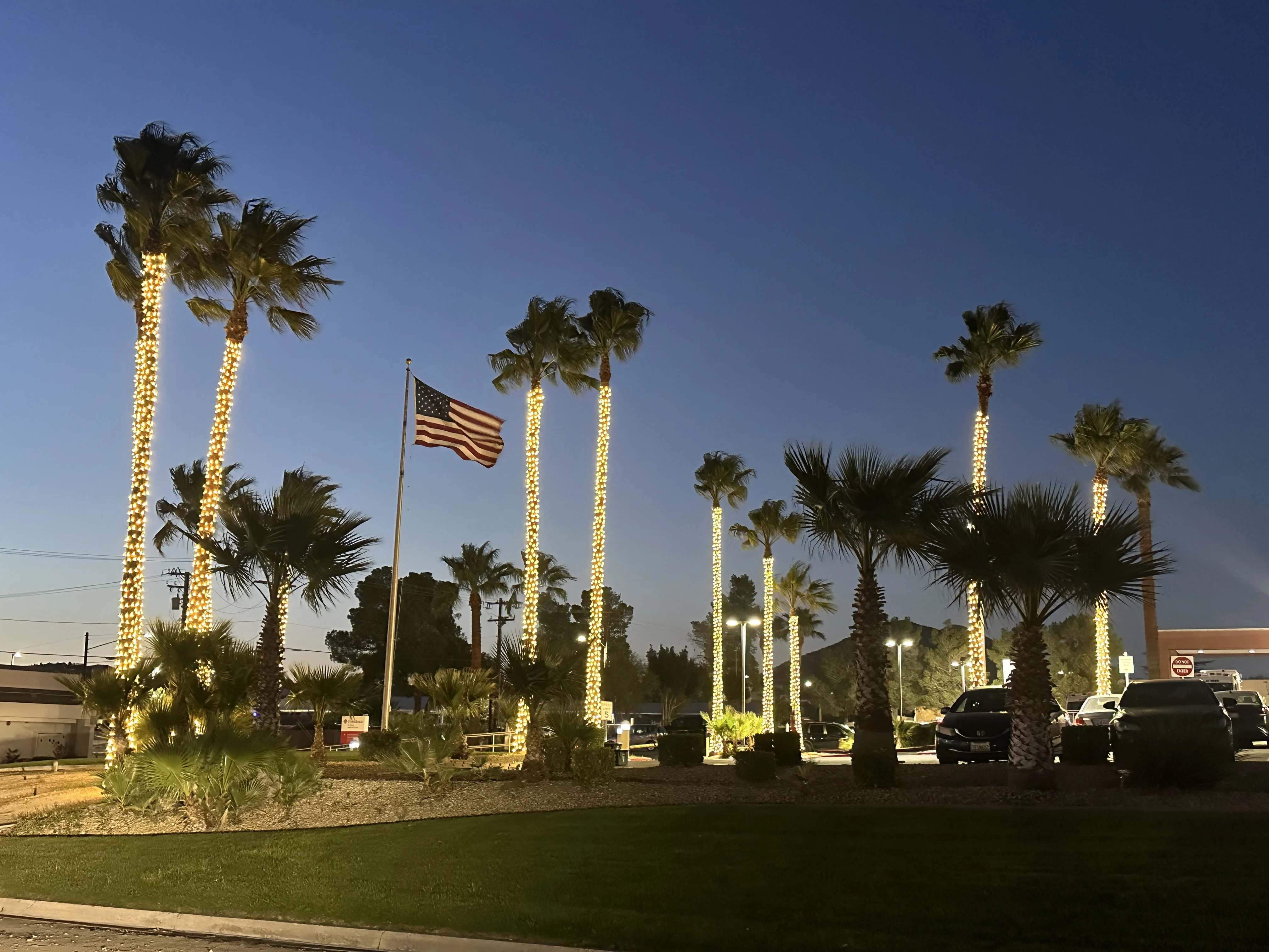 Commercial parking-area palm grove at deep-blue dusk with seven mature palm trees fully wrapped in warm-white lights, a US flag at center, distant mountain ridge on the horizon, native landscaping at the base of every palm