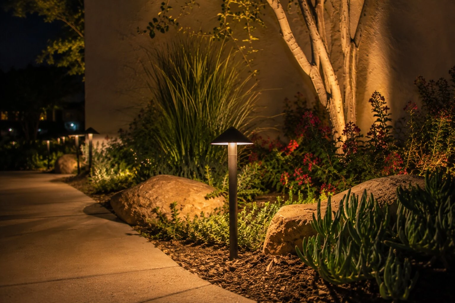 Close-up of a low-voltage path-light fixture beside a boulder, set among native succulents and red blooms