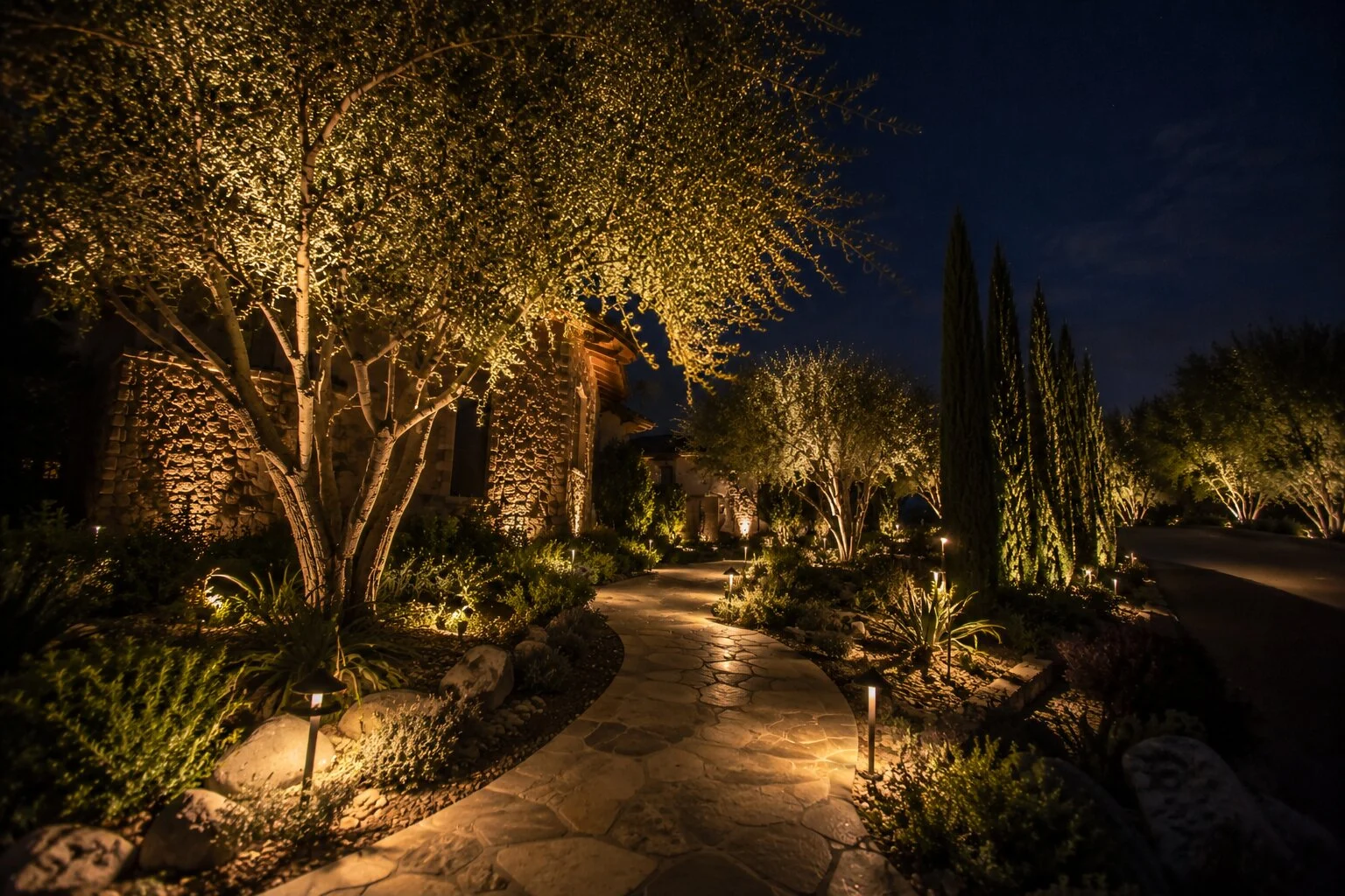 Low-angle view of a flagstone pathway lined with bollard fixtures, a large uplit tree, and cypress columns in the distance